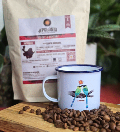 Kit Mug Eco