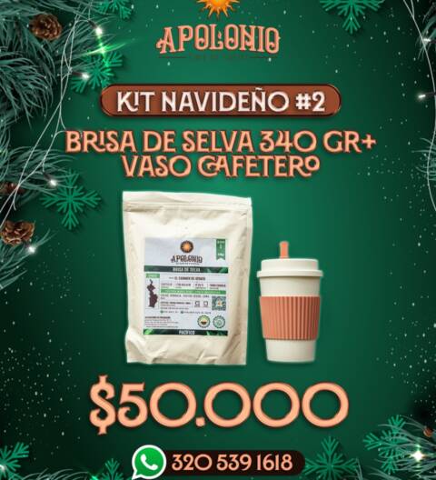 Kit Navideño #2